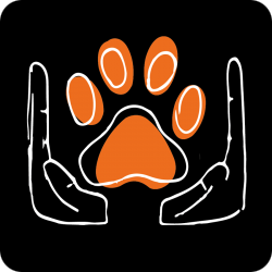 LOVE LOVE Mi 樂樂咪小廚房